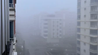 Samsun'da yoğun sis!
