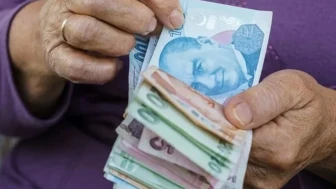 En yüksek emekli promosyonunu hangi banka veriyor?