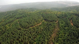 "Orman Benim" kampanyası 9 Mayıs’ta düzenlenecek