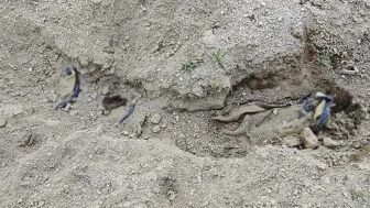 Nevşehir'de kan donduran olay: Battaniyeye sarılı erkek cesedi bulundu