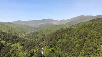 Ankara'da ormanlara giriş neden yasaklandı!