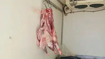 Hatay'da hijyen skandalı! Kaynağı belirsiz 34 kilo et ele geçirildi