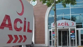 Denizli'de kahreden kaza: Yem makinesinin içine düşen besici can verdi!