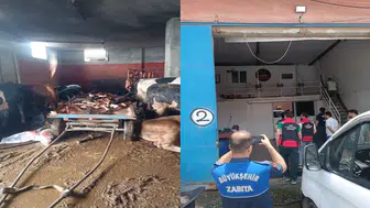 Kebabın başkentinde at eti skandalı