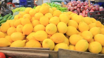 Nisan ayında limon zam şampiyonu oldu!