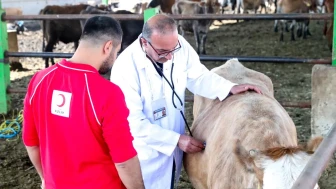 Kızılay kurban vekalet bedellerini açıkladı: Fiyatlar ne kadar oldu?