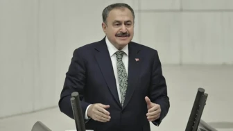 Veysel Eroğlu kimdir, kaç yaşında, nereli?