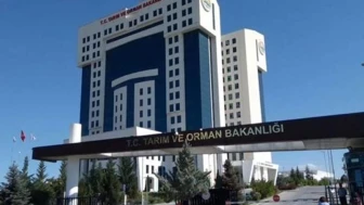 Tarım Bakanlığı'ndan 9 bal markasına hile uyarısı: Gerçek balı nasıl anlarsınız?