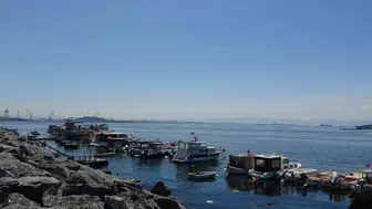 Pendik’te oltaya köpek balığı takıldı! Balıkçılar şaşkına döndü