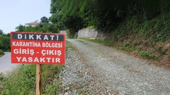 Balıkesir'de 15 mahalle şap nedeniyle karantinaya alındı!