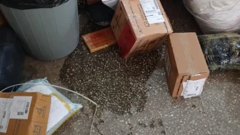 PTT Kargo şubesini su bastı, gönderiler zarar gördü