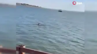 Mogan Gölü’nde şaşkınlık yaratan anlar: “Kurtuldum” diye bağırarak göle atladı!