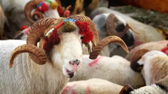 Kurban Bayramı tatili ne zaman başlıyor?