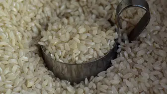 Japonya'da pirinç fiyatları uçtu, siyaset karıştı: Tarım Bakanı istifa etti!