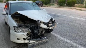 Manisa'da sepetli motosikletle yapılan yolculuk ölümle bitti
