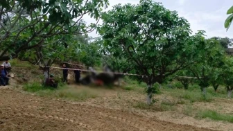 Aydın'da devrilen traktörün altında ezilen adam hayatını kaybetti