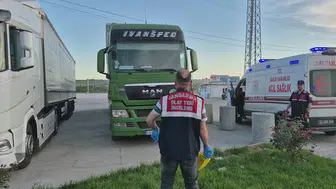 Edirne'de şüpheli ölüm: Tır sürücüsü aracında ölü bulundu!