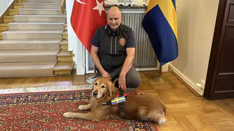 6 Şubat depremlerinde 18 kişiyi göçük altından kurtaran kahraman köpek vefat etti