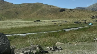 Hakkari'de 74 yaşındaki kişi dağda kayboldu