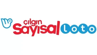 5 Mayıs Çılgın Sayısal Loto sonuçları sorgulama ekranı
