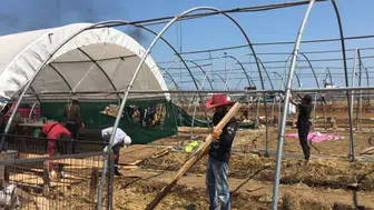 Kurban pazarı sona erdi: Besiciler zararla kapattı, çadırlar toplandı