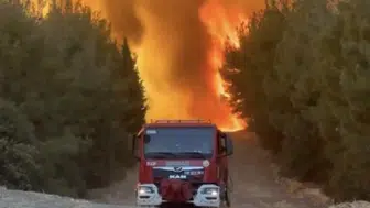 Aliağa'daki yangın Foça’ya sıçradı: Evler boşaltıldı