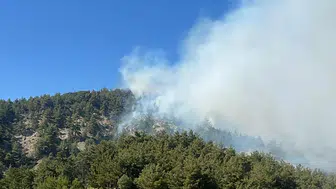 Bilecik’te orman yangını