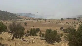 Mardin'de orman yangını