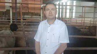 Kurbanlık can aldı, 3 çocuk babası iş adamı hayatını kaybetti