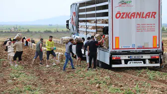 Bu işçilerin aylık kazancı 100 bin TL! Bir günde 250-300 ton yüklüyorlar