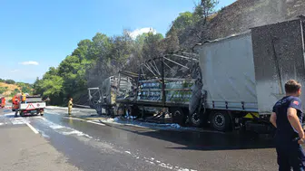 Bursa’da motor yağı yüklü tır alev aldı: Ormanlık alan kül oldu!