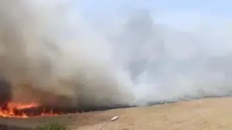 Bursa’da korkutan yangın