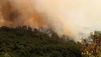 Suriye'de Başar Esad'a ait mühimmat deposunda yangın çıktı