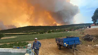 Sakarya-Bilecik orman yangını son durum