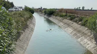 Sulama kanalında dehşet!