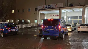 Şanlıurfa Siverek'te hayvan otlatma kavgası