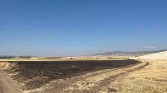 Gaziantep'te anız yaktı, 47 bin lira ceza yedi!