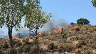 Bodrum'da yangın: Havadan ve karadan müdahale!