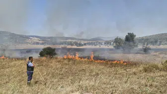 Foça’da çıkan yangın korkuttu: 4 hektarlık alan kül oldu