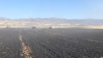 Elazığ'da 50 dönümlük buğday tarlası alevlere teslim oldu!