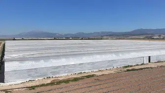 Denizli'de zehirlenme şüphesi: Serada çalışan 26 işçi hastaneye kaldırıldı