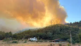 İzmir'in Selçuk ilçesinde orman yangını