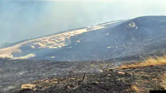 Tekirdağ'da anız yangını: Ormana da sıçradı