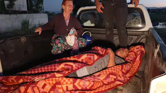 Manavgat'ta aslanın kaçtığı hayvan parkı kapatıldı