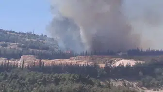 Suriye'de Cumhurbaşkanlığı Sarayı yakınlarında yangın çıktı!