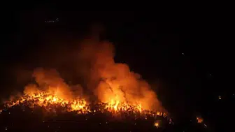Mersin’de orman yangını! Ekipler müdahale ediyor