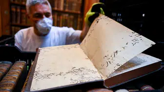 UNESCO mirası kütüphaneye böcek istilası!