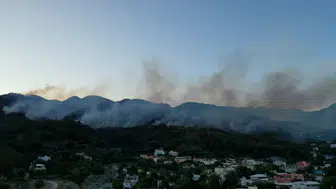 Hatay'da orman yangını: Ekiplerin müdahalesi sürüyor!