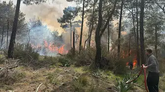 Antalya'da orman yangını başladı