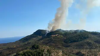 Çanakkale Ayvacık orman yangını devam ediyor mu?